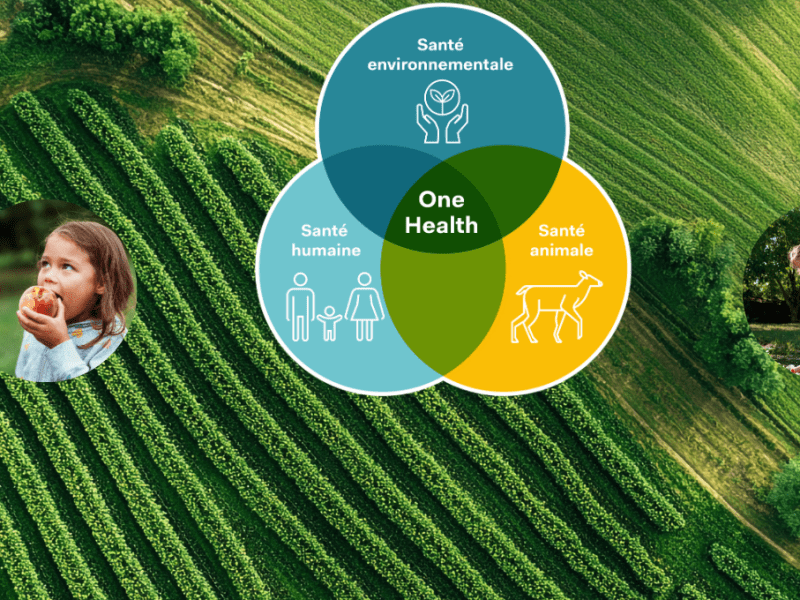 Une seule santé en matière de gouvernance agricole: une approche au bénéfice des générations futures 